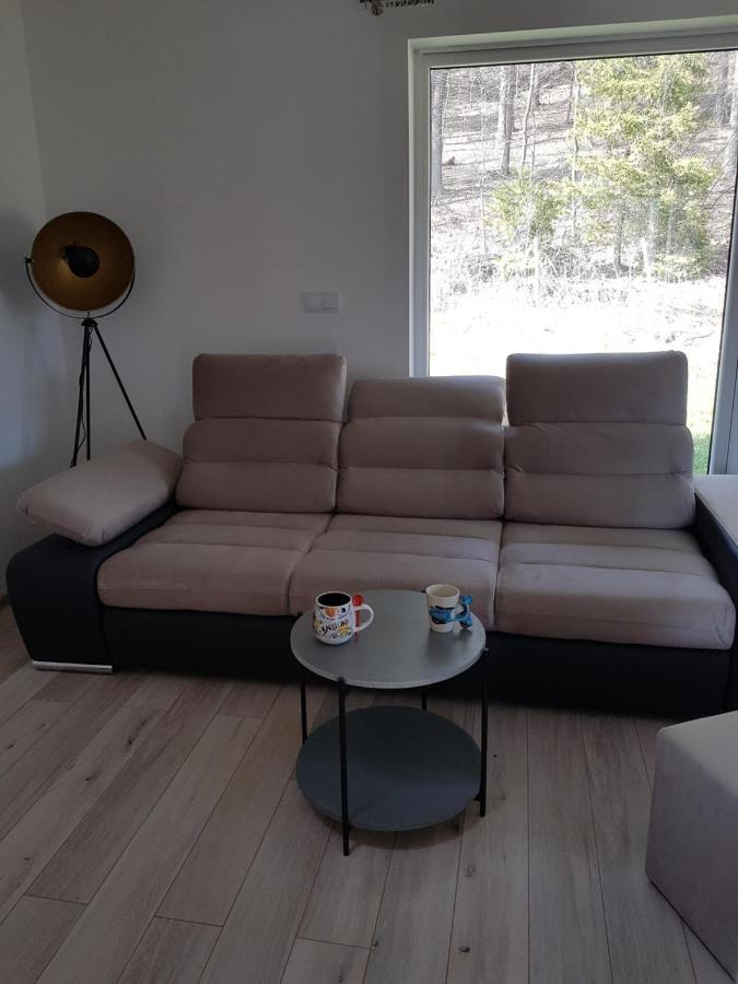 Leniowka Apartment Ponikiew  ภายนอก รูปภาพ
